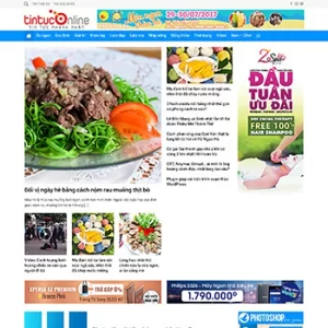 Theme WordPress Tin Tức 01