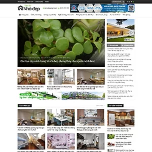 Theme WordPress Tin Tức 06